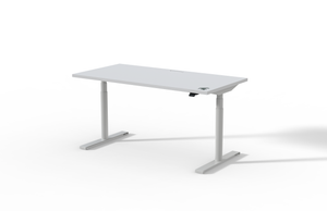 Michigan State University Desk