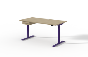 Northwestern University Desk
