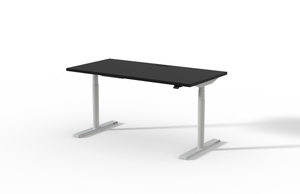 The T-Leg Standing Desk