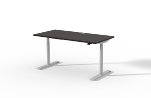 The T-Leg Standing Desk